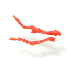 Red Coral