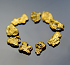 Gold Nugget