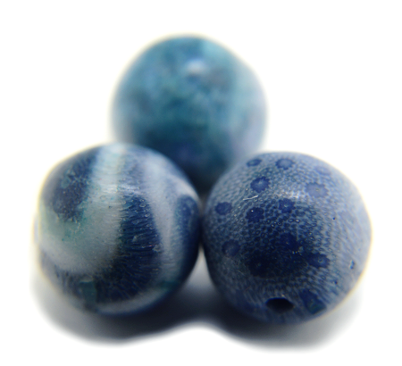 Blue Coral