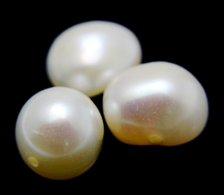 Freshwater Pearl