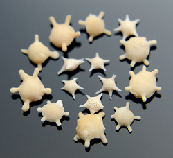 Star Sand