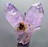 Vera Cruz Amethyst