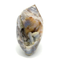 Shell Agate